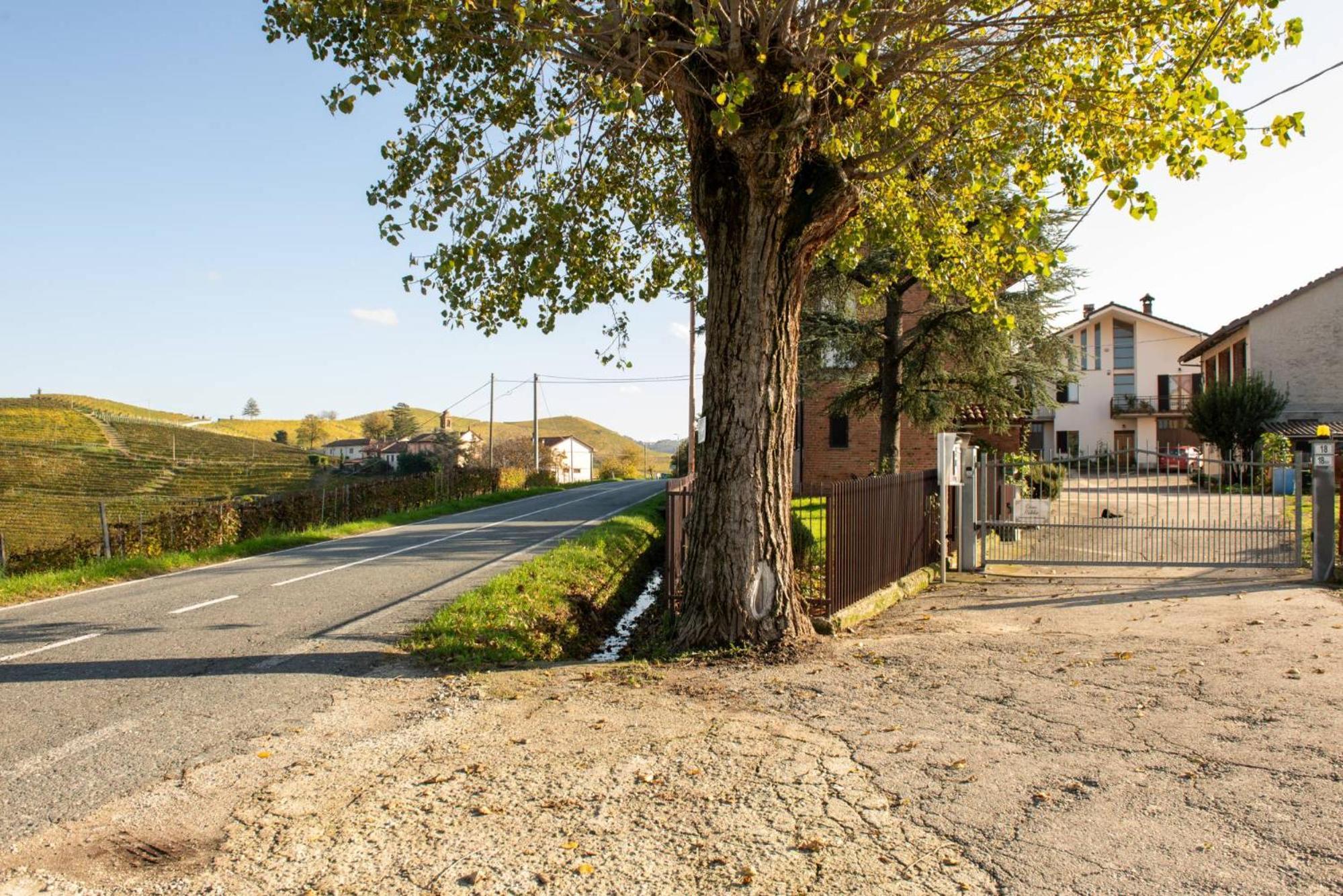 Casa Rubbo - Appartamento In Collina 'Monviso' Alba  Esterno foto